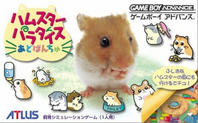 Front boxart of the game Hamster Paradise Advanchu (Japan) on Nintendo GameBoy Advance