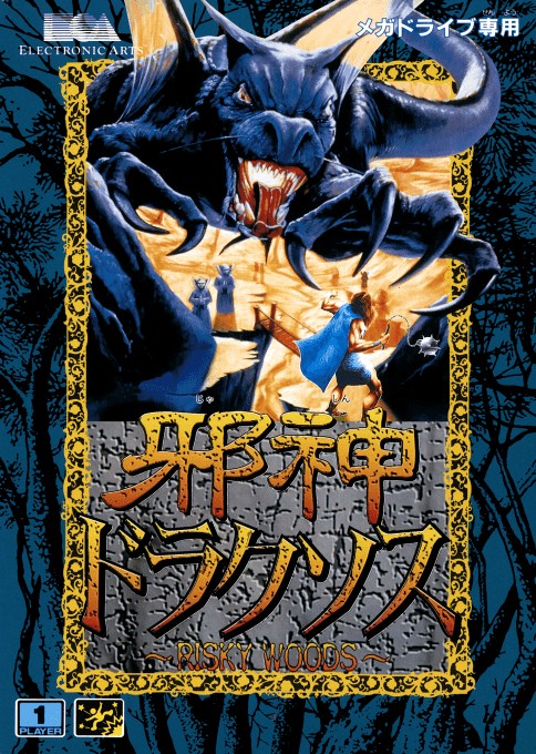 Front boxart of the game Risky Woods (Japan) on Sega Megadrive