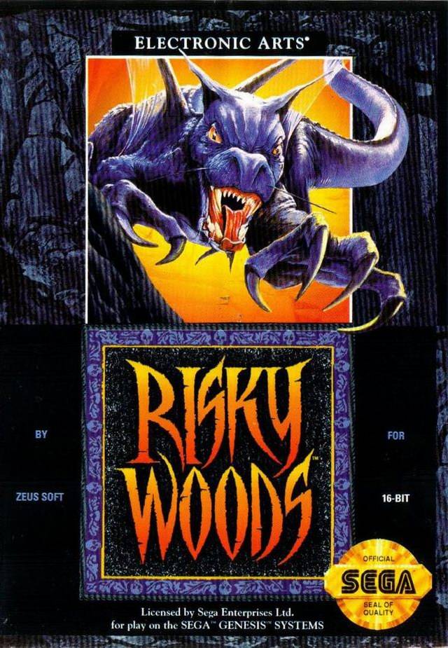 Front boxart of the game Risky Woods (United States) on Sega Megadrive