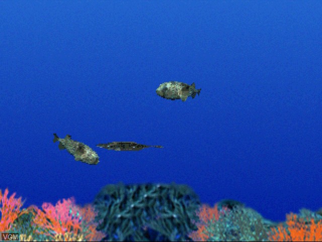 In-game screen of the game Aqua World - Umibi Monogatari on 3DO