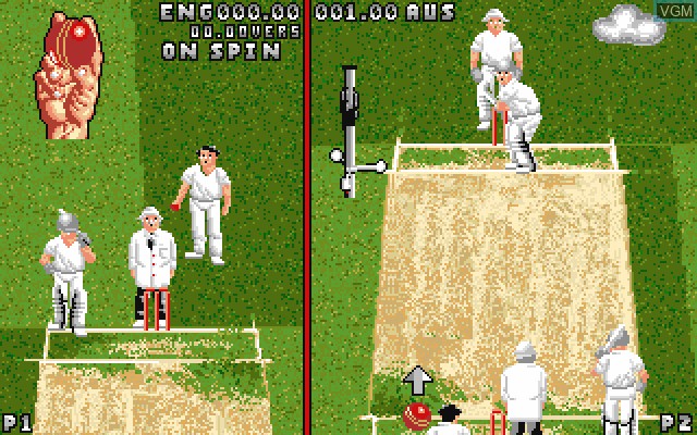 Ian Botham's Cricket