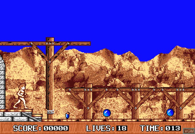 In-game screen of the game Wizards Castle on Commodore Amiga