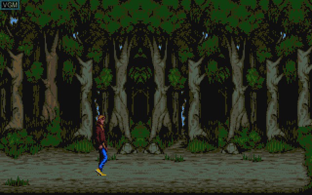 In-game screen of the game Time Runners 06 - The Bewitched Forest on Commodore Amiga