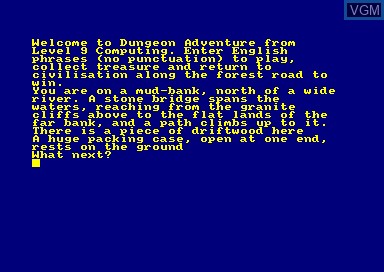 In-game screen of the game Dungeon Adventure on Amstrad CPC