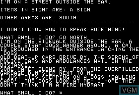 In-game screen of the game Softporn Adventure on Apple II