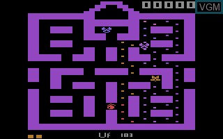 In-game screen of the game Cat Trax on Atari 2600
