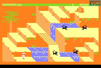 In-game screen of the game Congo Bongo on Atari 5200
