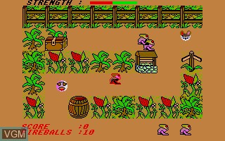 In-game screen of the game Blood Fever on Atari ST