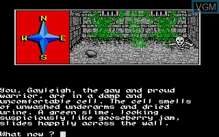 In-game screen of the game Dungeons Amethysts Alchemists 'n' Everythin' on Atari ST