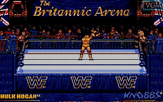 In-game screen of the game WWF European Rampage on Atari ST
