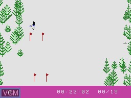 In-game screen of the game Skiing on Coleco Industries Colecovision