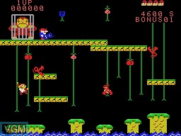 In-game screen of the game Super DK! Junior on Coleco Industries Colecovision