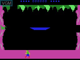 In-game screen of the game Tomarc the Barbarian on Coleco Industries Colecovision