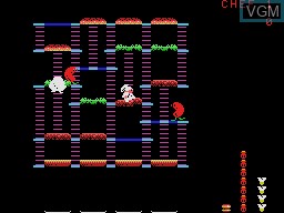 In-game screen of the game BurgerTime on Coleco Industries Colecovision