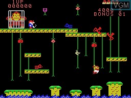 In-game screen of the game Donkey Kong Junior on Coleco Industries Colecovision