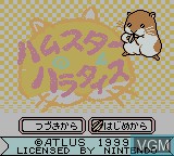 Title screen of the game Hamster Paradise on Nintendo Game Boy Color