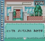 Menu screen of the game Nakayoshi Pet Series 2 - Kawaii Usagi on Nintendo Game Boy Color
