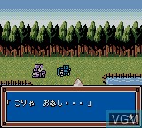 Menu screen of the game Gran Duel - Shinki Dungeon no Hihou Trial Version on Nintendo Game Boy Color