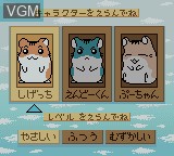 Menu screen of the game Hamster Club - Awasete Chu on Nintendo Game Boy Color
