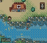 In-game screen of the game Legend of the River King GB on Nintendo Game Boy Color