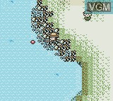 In-game screen of the game Legend of the River King 2 on Nintendo Game Boy Color