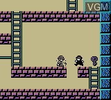 In-game screen of the game Lode Runner - Domdom Dan no Yabou! on Nintendo Game Boy Color