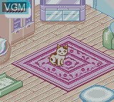 In-game screen of the game Nakayoshi Pet Series 4 - Kawaii Koneko on Nintendo Game Boy Color