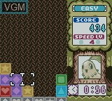 In-game screen of the game Pokemon Puzzle Challenge on Nintendo Game Boy Color