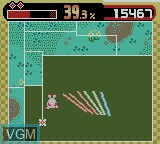 In-game screen of the game Qix Adventure on Nintendo Game Boy Color