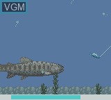 In-game screen of the game Super Real Fishing on Nintendo Game Boy Color