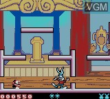 In-game screen of the game Tiny Toon Adventures - Buster Saves the Day on Nintendo Game Boy Color