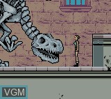 In-game screen of the game Tomb Raider - Curse of the Sword on Nintendo Game Boy Color