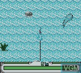In-game screen of the game Tsuri Sensei 2 on Nintendo Game Boy Color