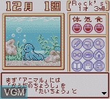 In-game screen of the game Animal Breeder 3 on Nintendo Game Boy Color