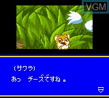 In-game screen of the game Hamster Monogatari GB + Magi Ham Mahou no Shoujo on Nintendo Game Boy Color