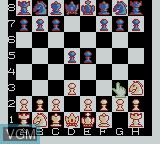 In-game screen of the game Checkmate on Nintendo Game Boy Color