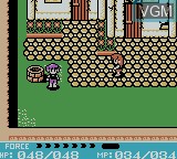 In-game screen of the game Crystalis on Nintendo Game Boy Color