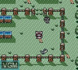 In-game screen of the game Kawaii Pet Shop Monogatari on Nintendo Game Boy Color