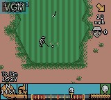 In-game screen of the game CyberTiger on Nintendo Game Boy Color