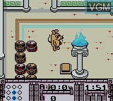 In-game screen of the game Maus, Die - Verrueckte Olympiade on Nintendo Game Boy Color