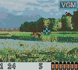 In-game screen of the game Original Moorhuhn Jagd, Die on Nintendo Game Boy Color