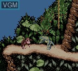 In-game screen of the game Donkey Kong Country on Nintendo Game Boy Color