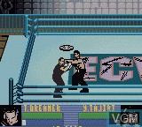 In-game screen of the game ECW Hardcore Revolution on Nintendo Game Boy Color