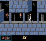 In-game screen of the game Prince of Persia on Nintendo Game Boy Color