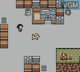 In-game screen of the game Gonta no Okiraku Daibouken on Nintendo Game Boy Color
