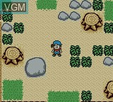 In-game screen of the game Harvest Moon 3 GBC on Nintendo Game Boy Color