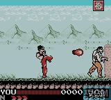 In-game screen of the game Hiryu no Ken Retsuden GB on Nintendo Game Boy Color