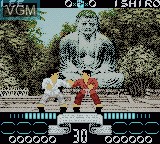 In-game screen of the game International Karate 2000 on Nintendo Game Boy Color