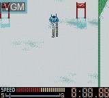 In-game screen of the game Konami Winter Games on Nintendo Game Boy Color