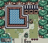 In-game screen of the game Legend of Zelda, The - Link's Awakening DX on Nintendo Game Boy Color